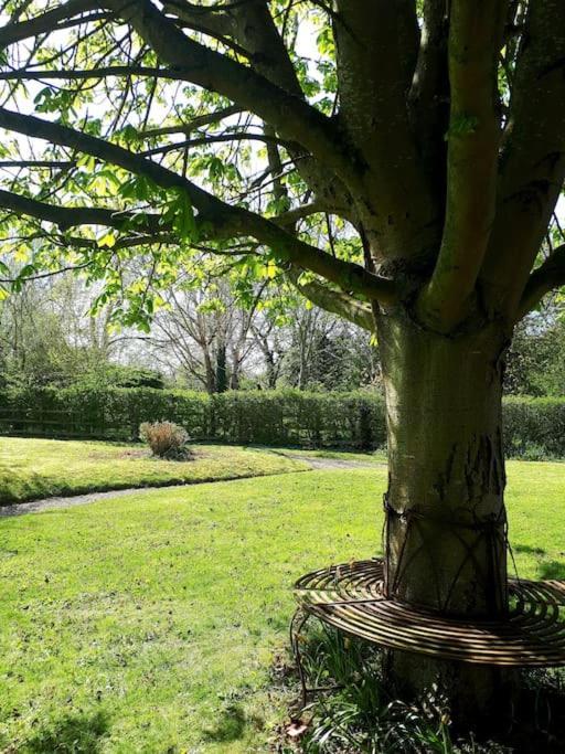 Host & Stay - Clara Cottage Bretforton Exteriör bild